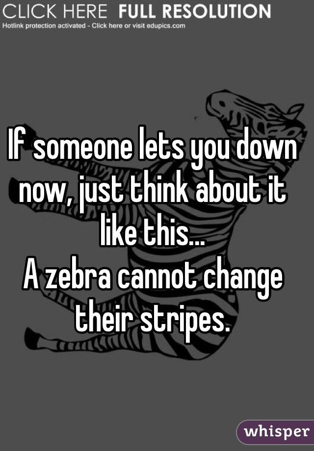 If someone lets you down now, just think about it like this...
A zebra cannot change their stripes.