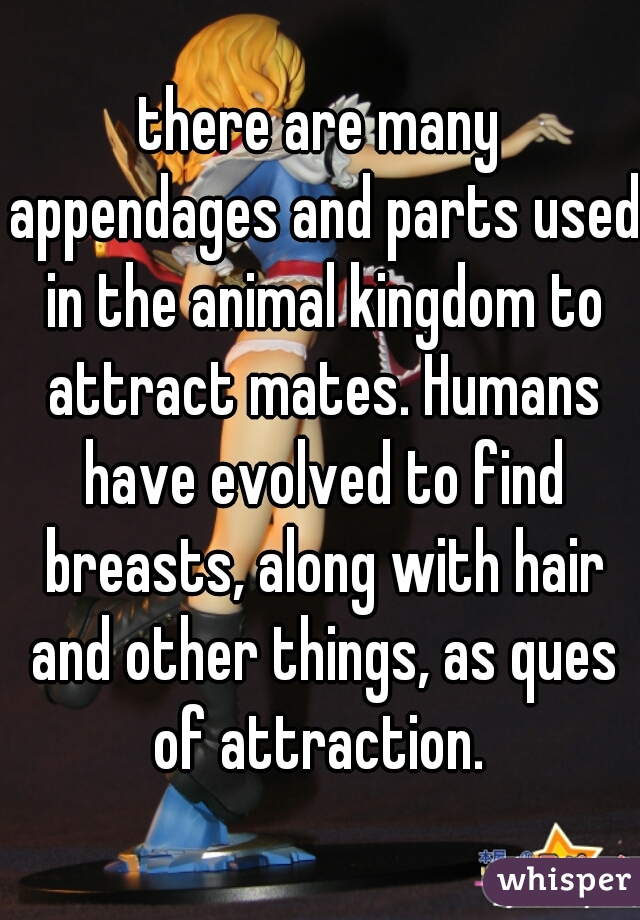 there are many appendages and parts used in the animal kingdom to attract mates. Humans have evolved to find breasts, along with hair and other things, as ques of attraction. 
