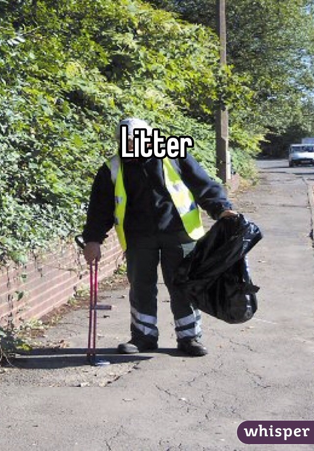 Litter
