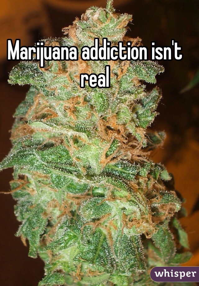 Marijuana addiction isn't real 