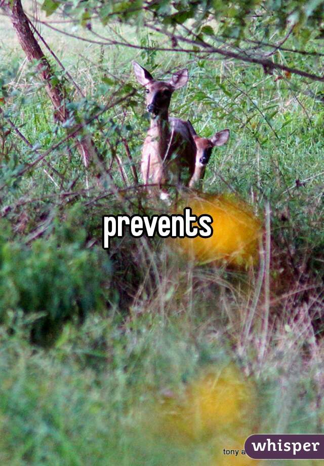 prevents 
