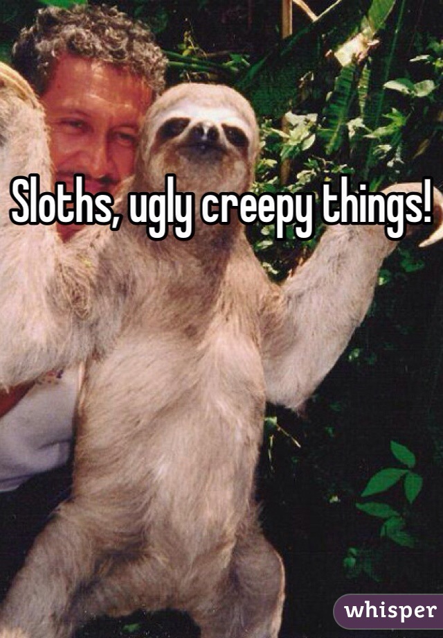 Sloths, ugly creepy things!