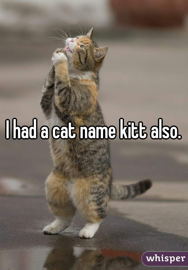 I had a cat name kitt also.