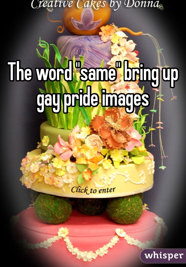 The word "same" bring up gay pride images