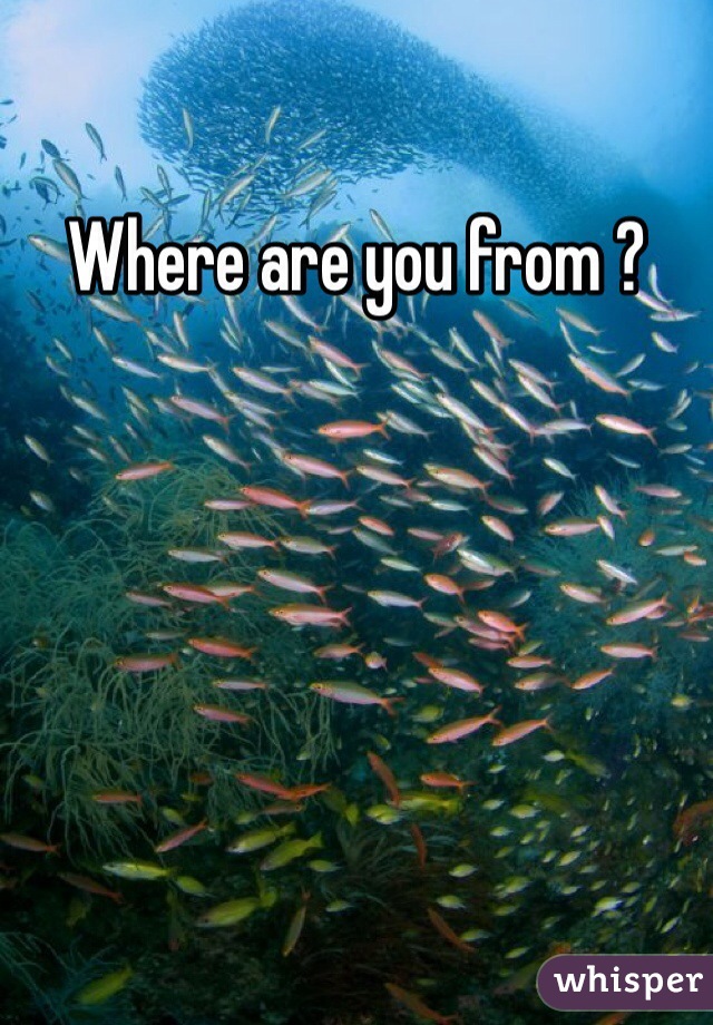 Where are you from ? 