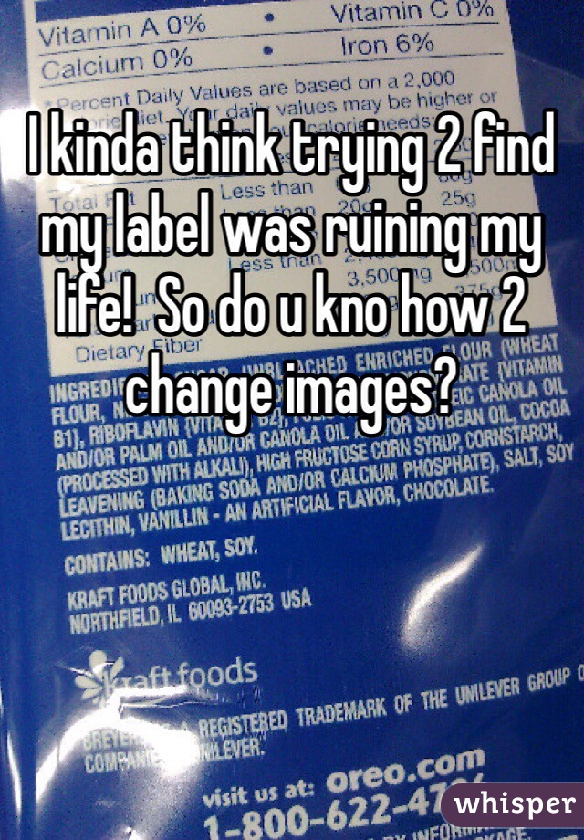 I kinda think trying 2 find my label was ruining my life!  So do u kno how 2 change images?