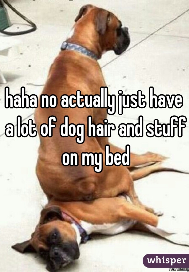 haha no actually just have a lot of dog hair and stuff on my bed
