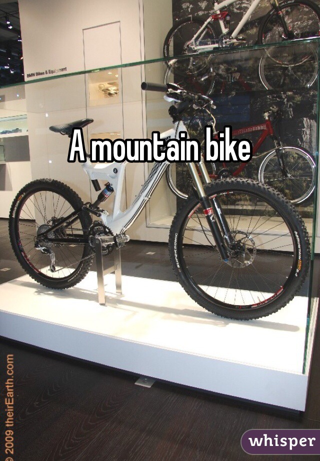 A mountain bike
