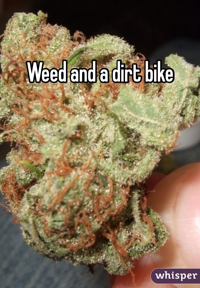 Weed and a dirt bike