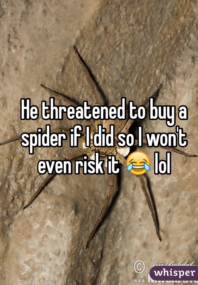 He threatened to buy a spider if I did so I won't even risk it 😂 lol