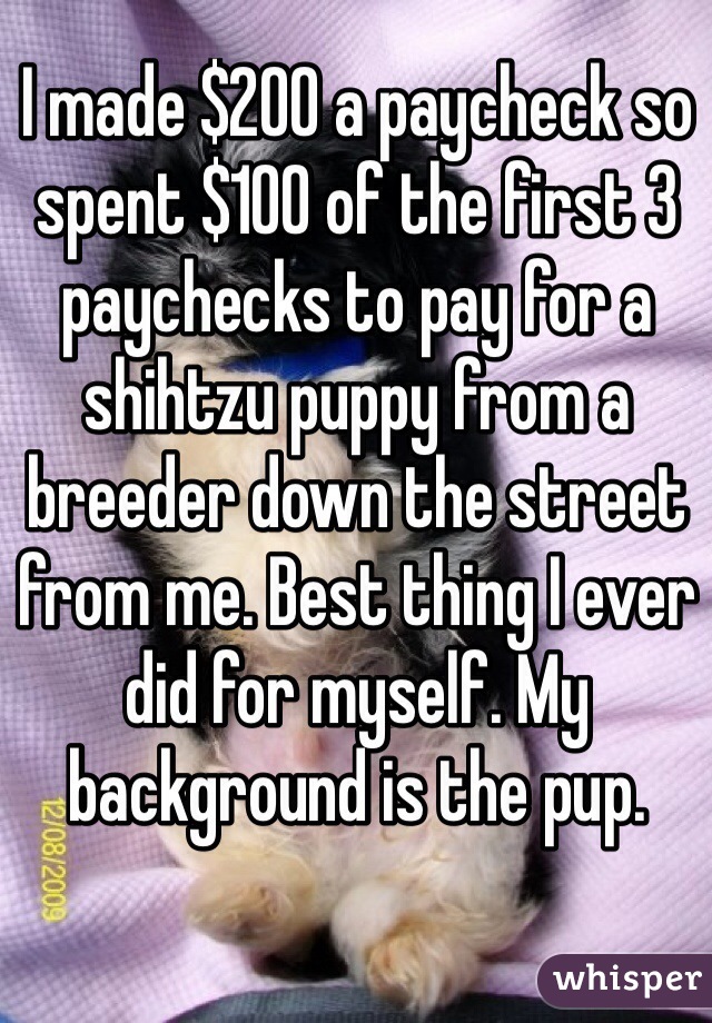 I made $200 a paycheck so spent $100 of the first 3 paychecks to pay for a shihtzu puppy from a breeder down the street from me. Best thing I ever did for myself. My background is the pup. 