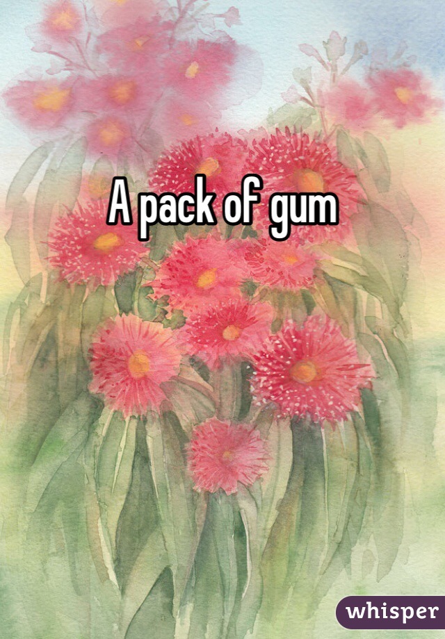 A pack of gum 