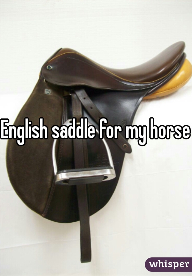 English saddle for my horse!