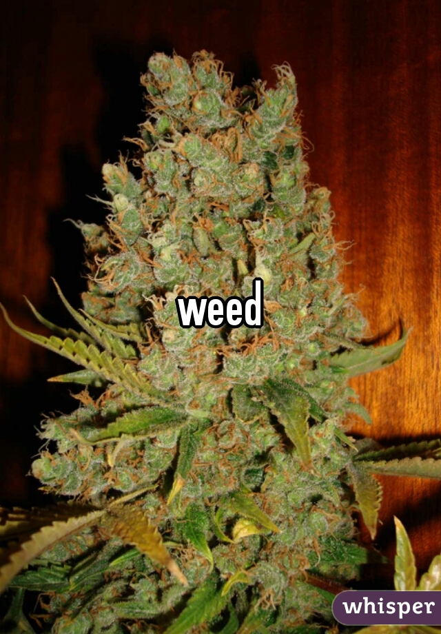 weed