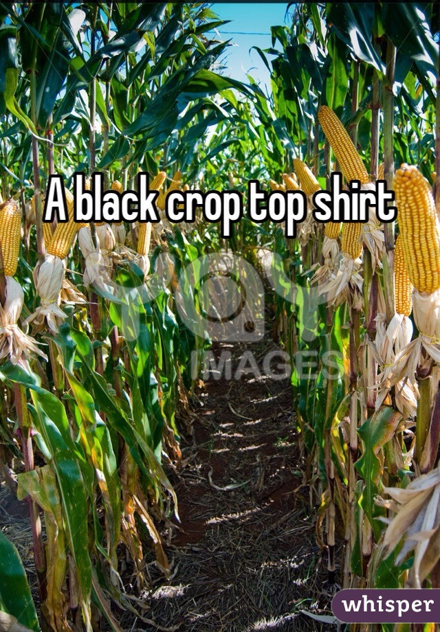 A black crop top shirt 