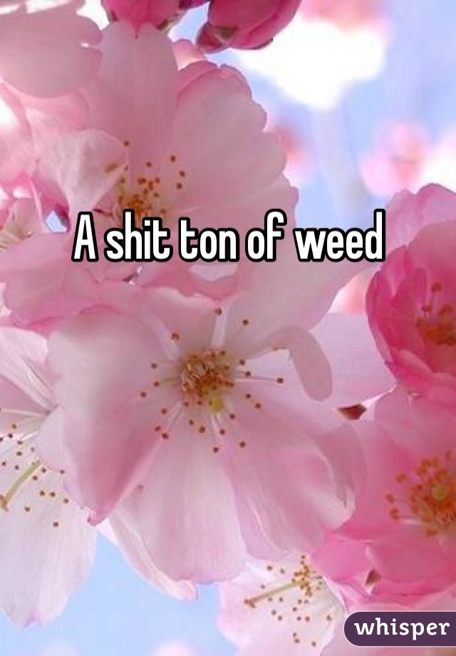 A shit ton of weed 