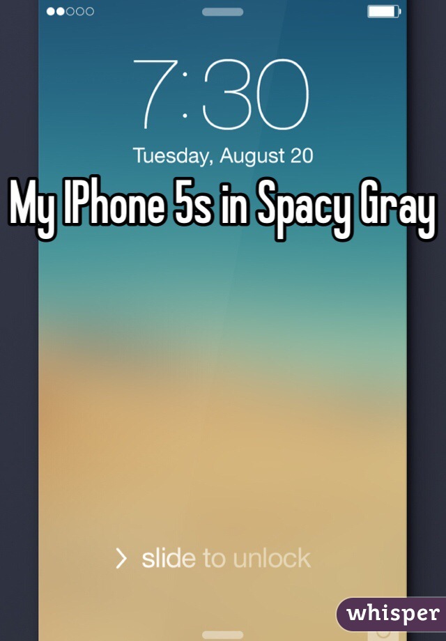 My IPhone 5s in Spacy Gray