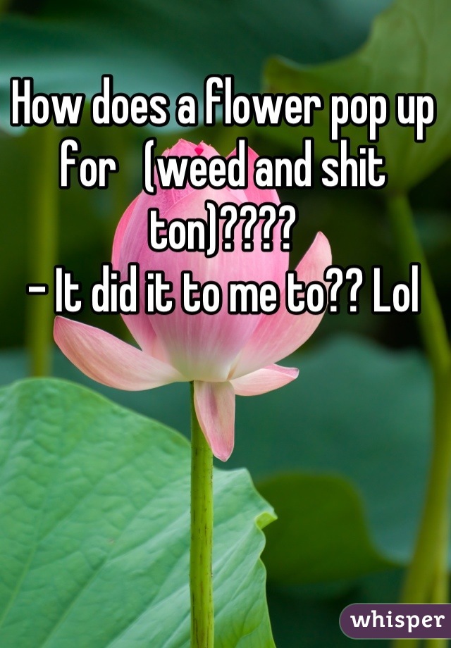 How does a flower pop up for   (weed and shit ton)????
- It did it to me to?? Lol