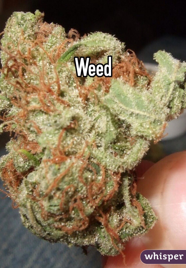 Weed