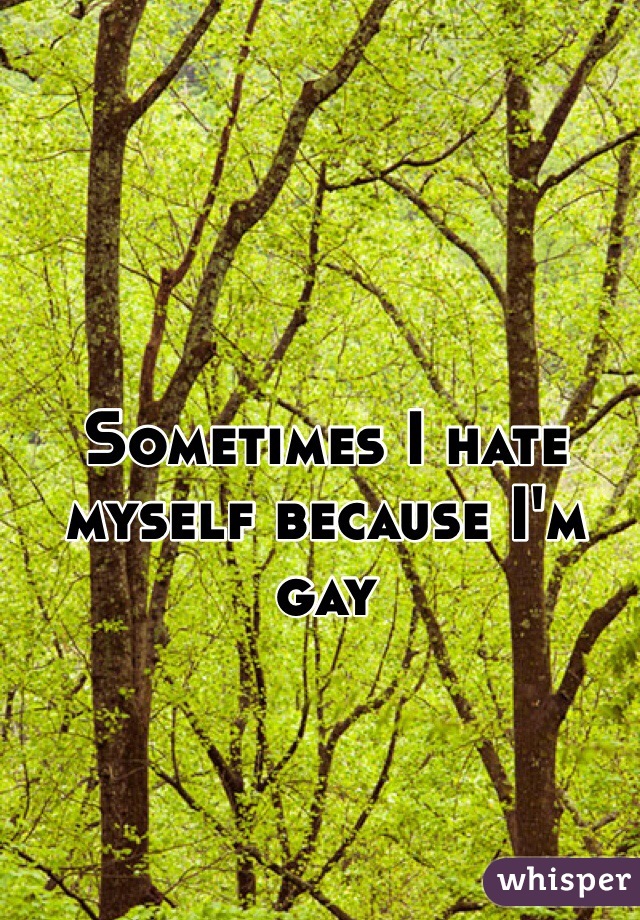 Sometimes I hate myself because I'm gay