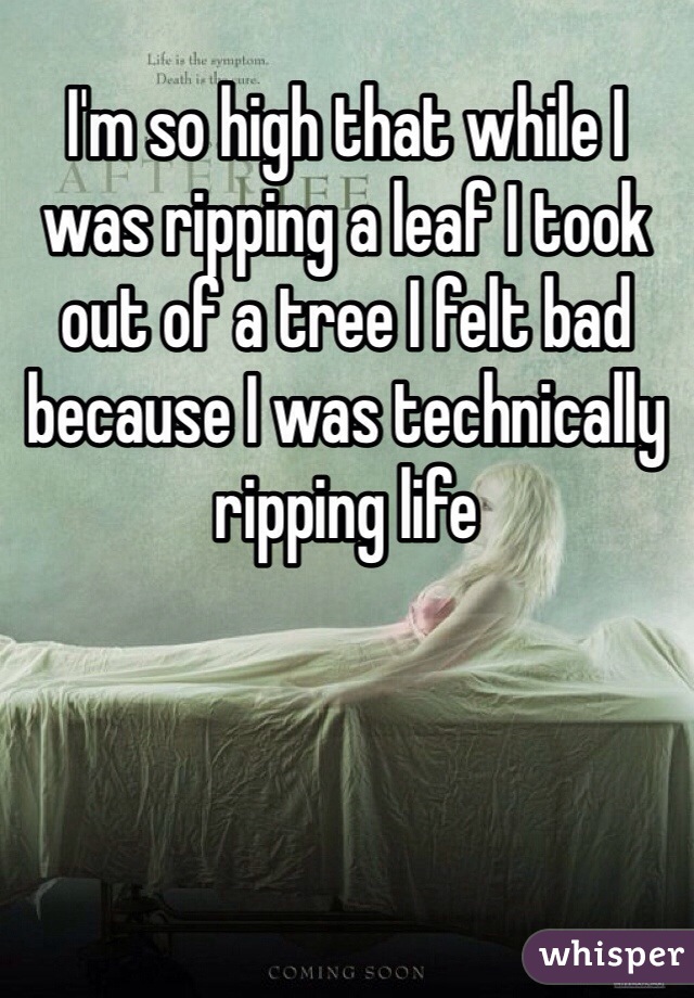 I'm so high that while I was ripping a leaf I took out of a tree I felt bad because I was technically ripping life 