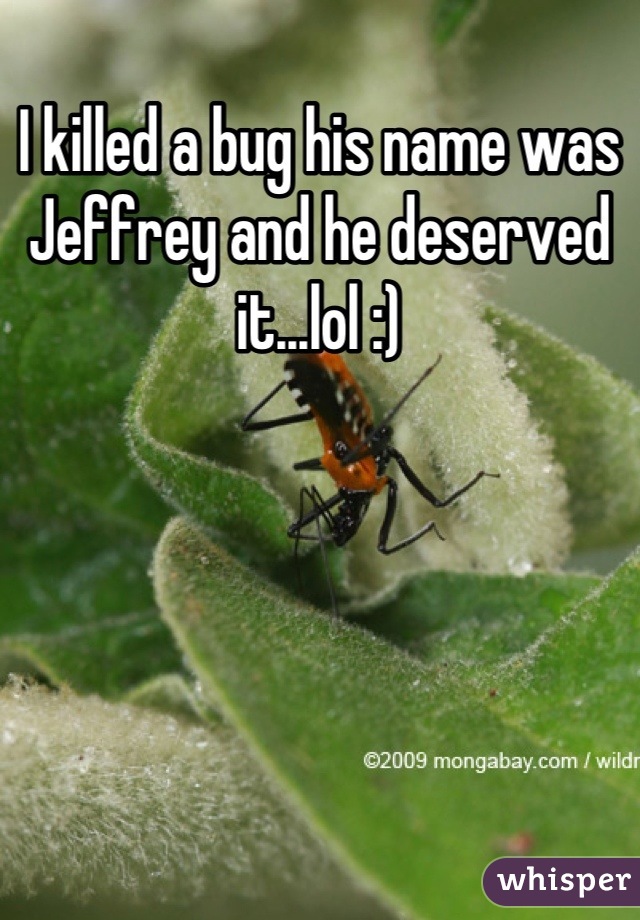 I killed a bug his name was Jeffrey and he deserved it...lol :)