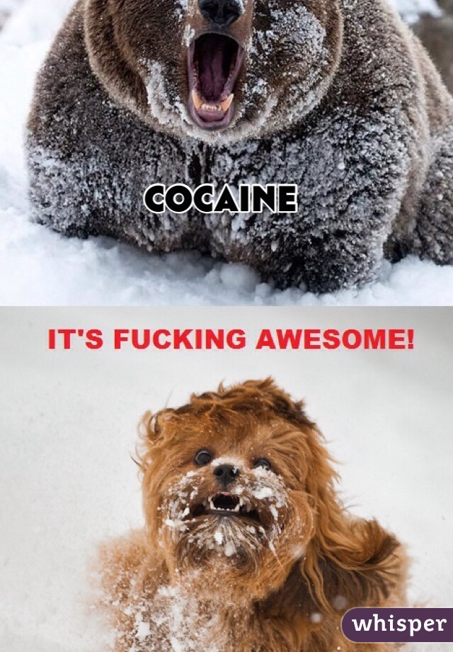 cocaine