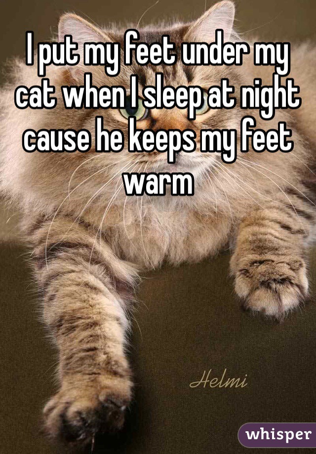 I put my feet under my cat when I sleep at night cause he keeps my feet warm 