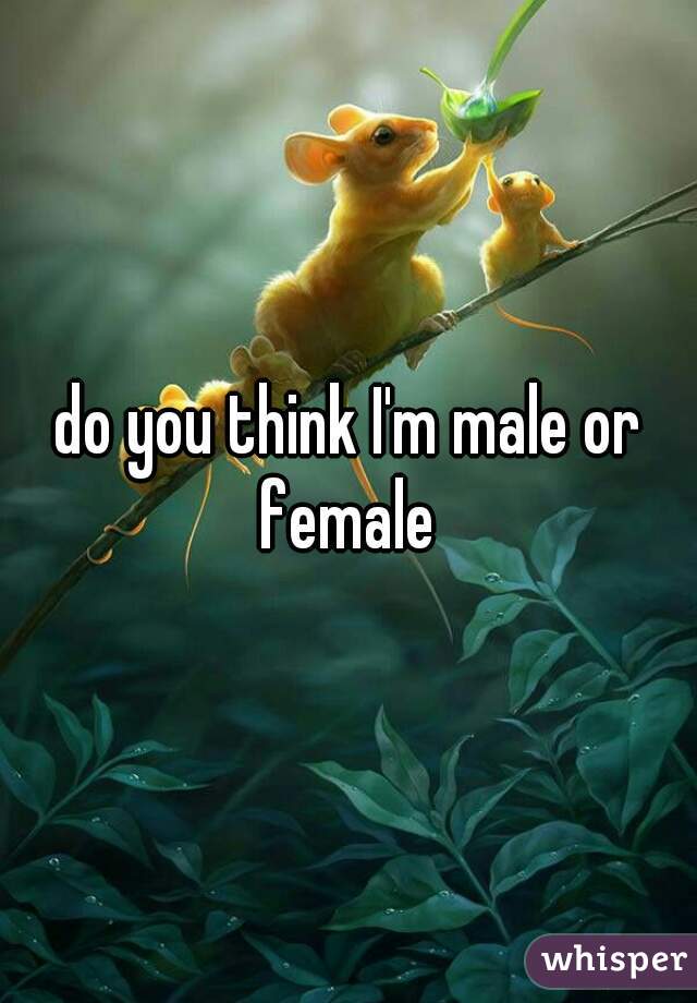 do you think I'm male or female 