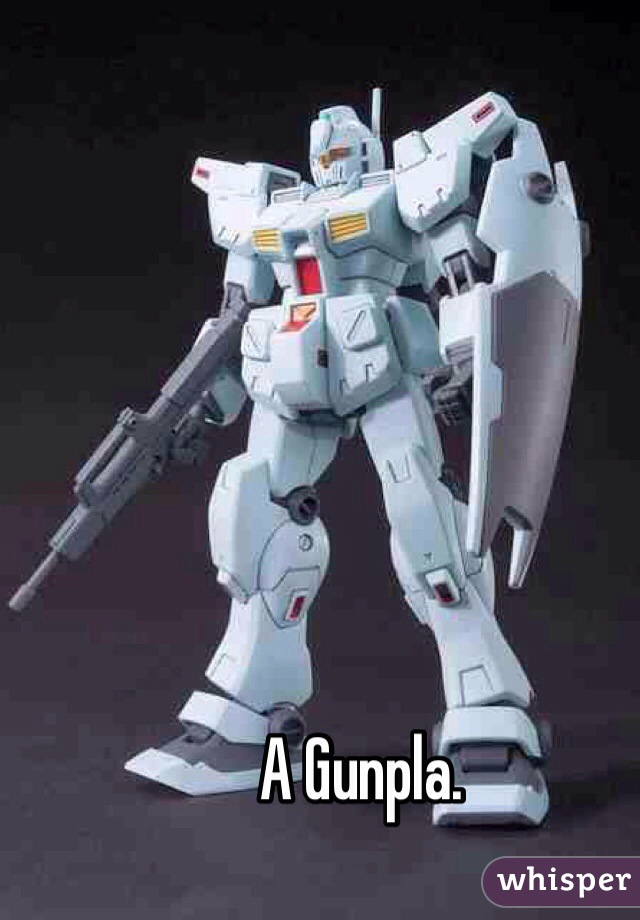 A Gunpla.