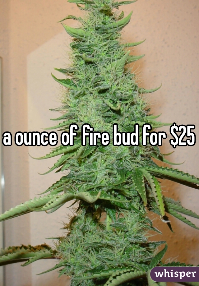 a ounce of fire bud for $250