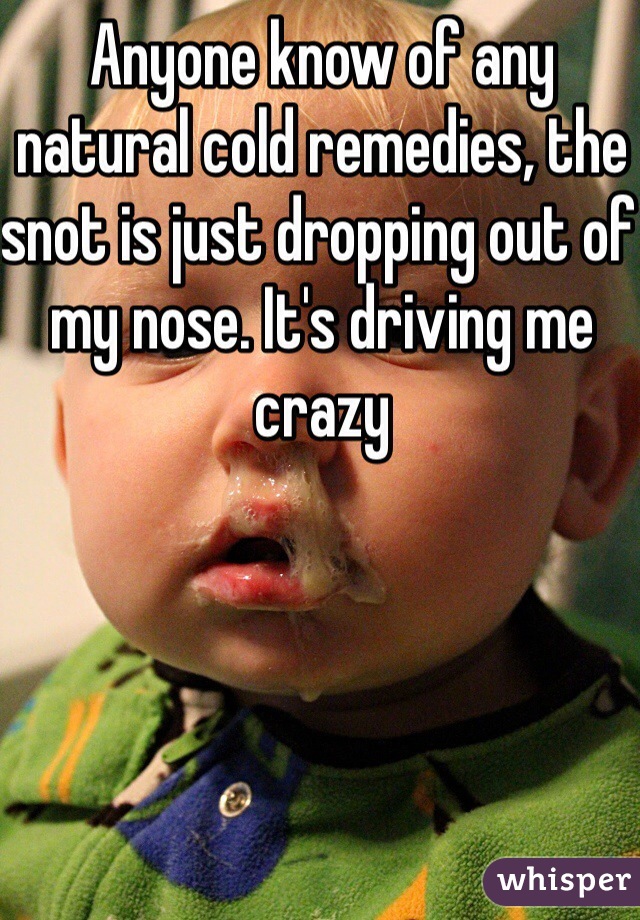 Anyone know of any natural cold remedies, the snot is just dropping out of my nose. It's driving me crazy