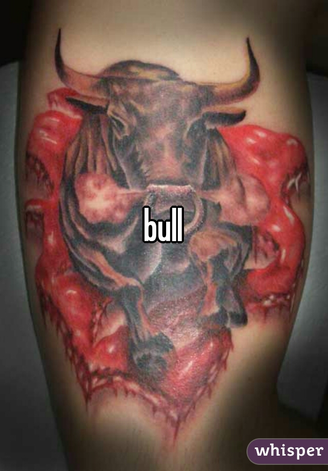 bull