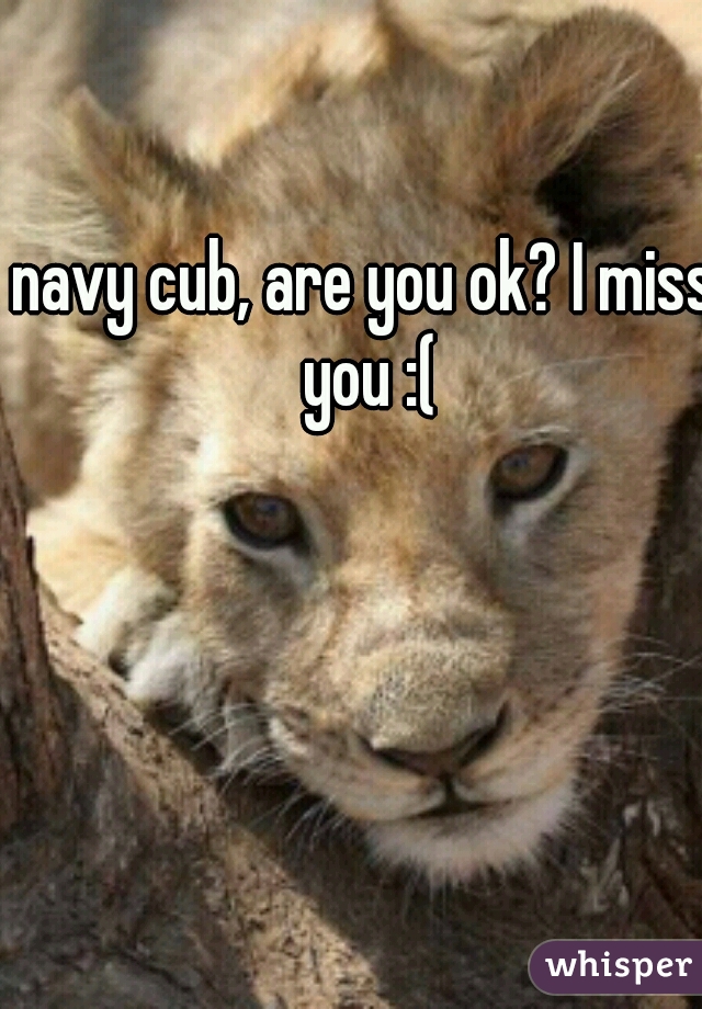 navy cub, are you ok? I miss you :(
