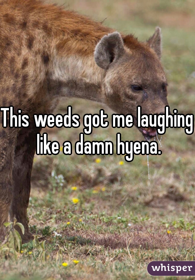 This weeds got me laughing like a damn hyena.