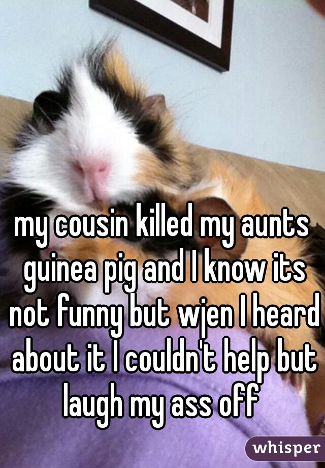 my cousin killed my aunts guinea pig and I know its not funny but wjen I heard about it I couldn't help but laugh my ass off 