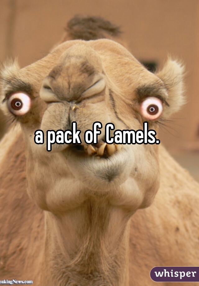 a pack of Camels. 