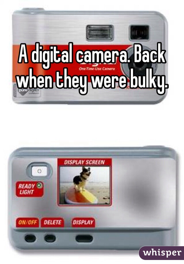 A digital camera. Back when they were bulky.