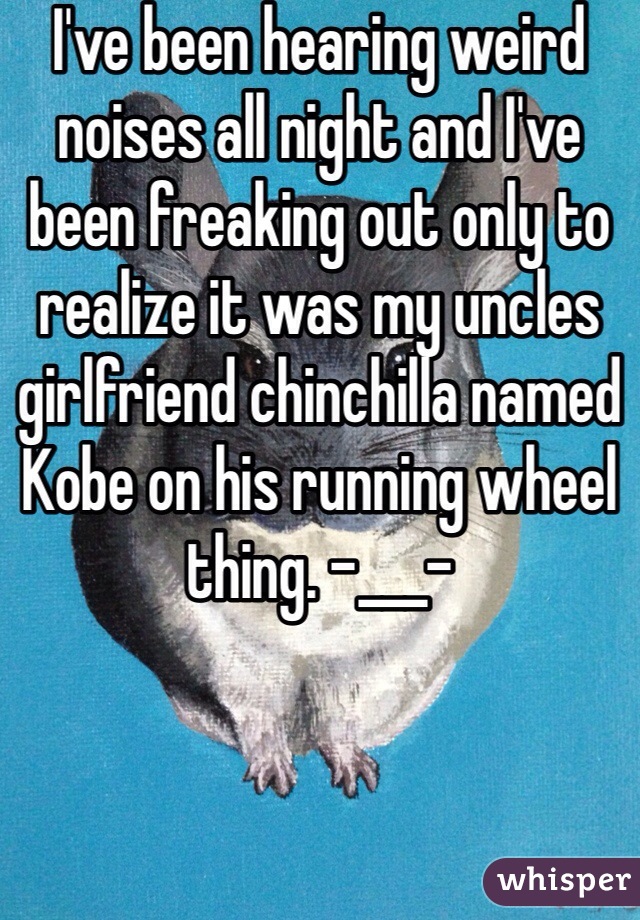 I've been hearing weird noises all night and I've been freaking out only to realize it was my uncles girlfriend chinchilla named Kobe on his running wheel thing. -___-