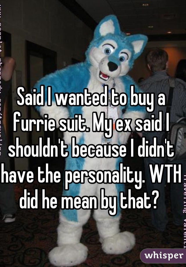 Said I wanted to buy a furrie suit. My ex said I shouldn't because I didn't have the personality. WTH did he mean by that? 