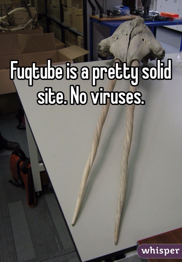 Fuqtube is a pretty solid site. No viruses. 