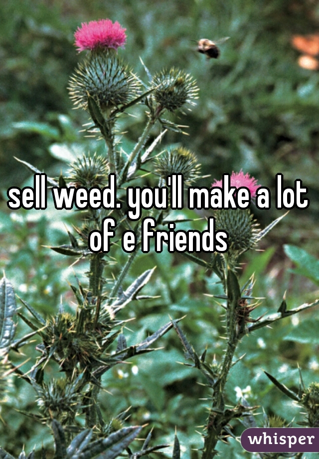 sell weed. you'll make a lot of e friends 