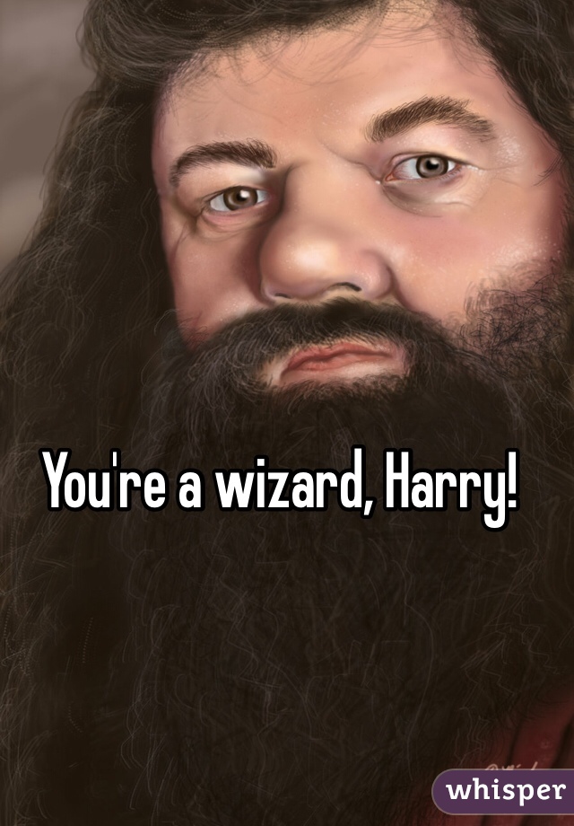 You're a wizard, Harry!