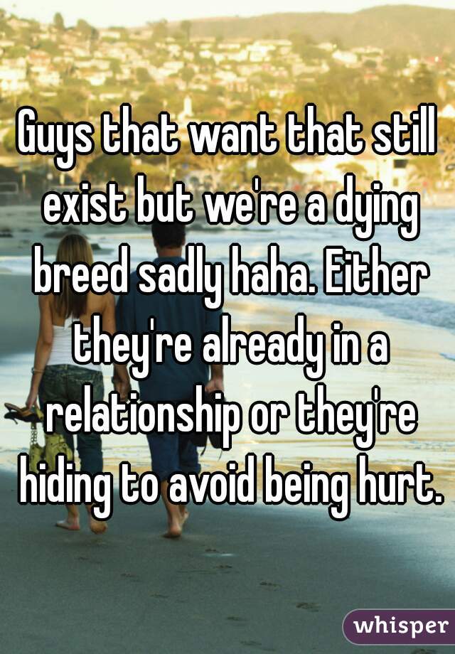 Guys that want that still exist but we're a dying breed sadly haha. Either they're already in a relationship or they're hiding to avoid being hurt.