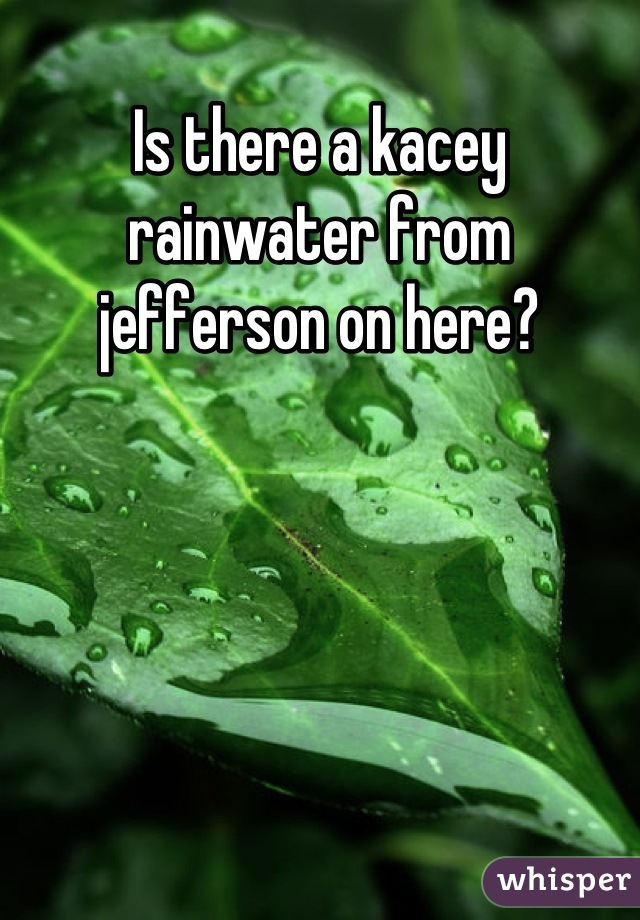 Is there a kacey rainwater from jefferson on here?