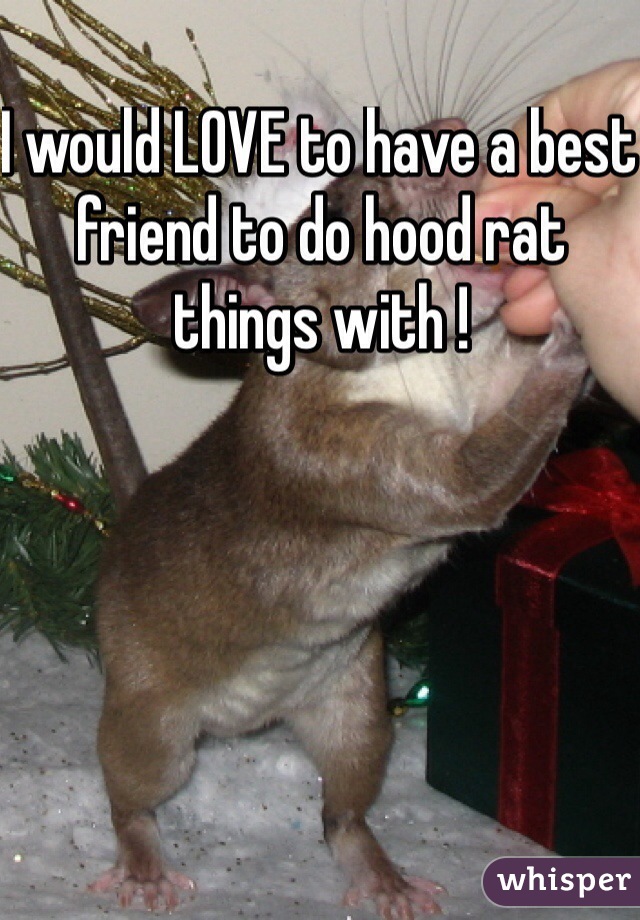 I would LOVE to have a best friend to do hood rat things with ! 