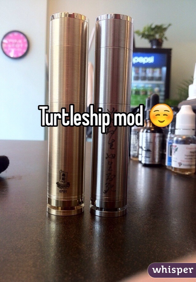 Turtleship mod ☺️