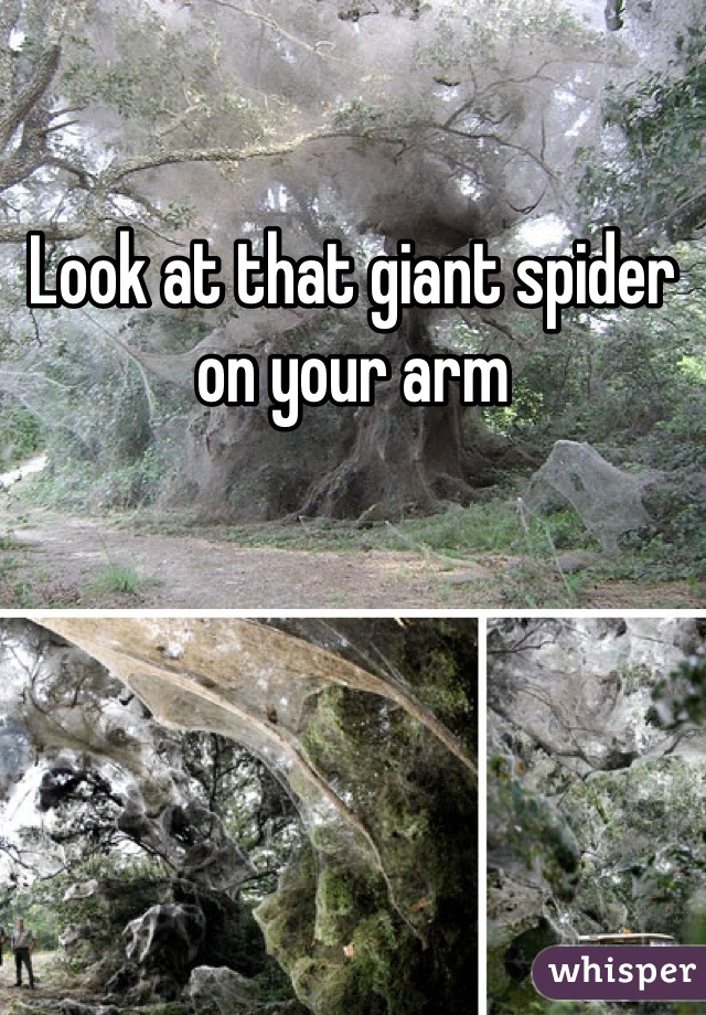 Look at that giant spider on your arm
