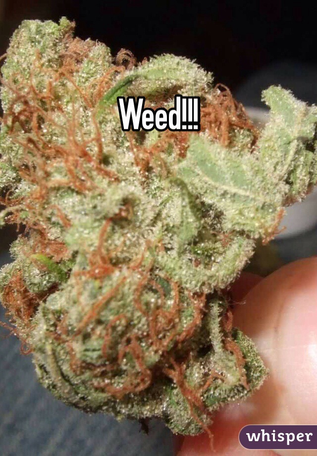 Weed!!!