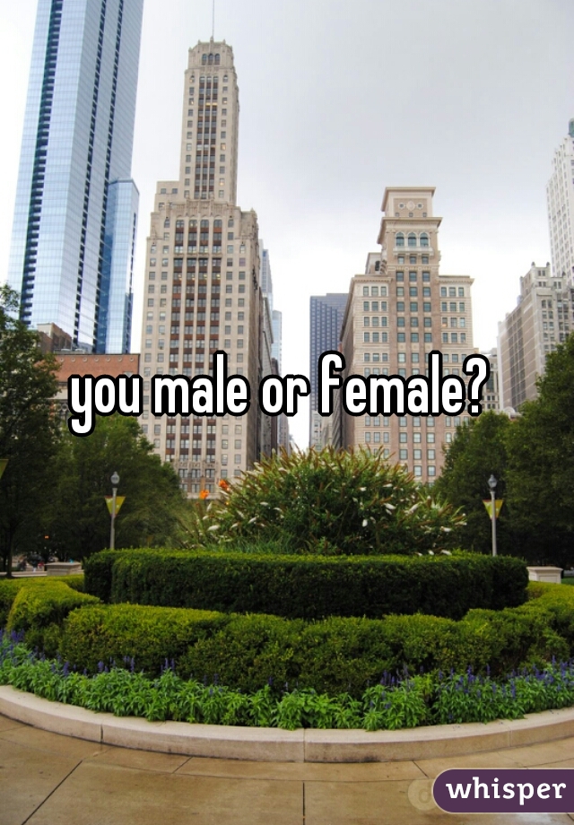 you male or female? 